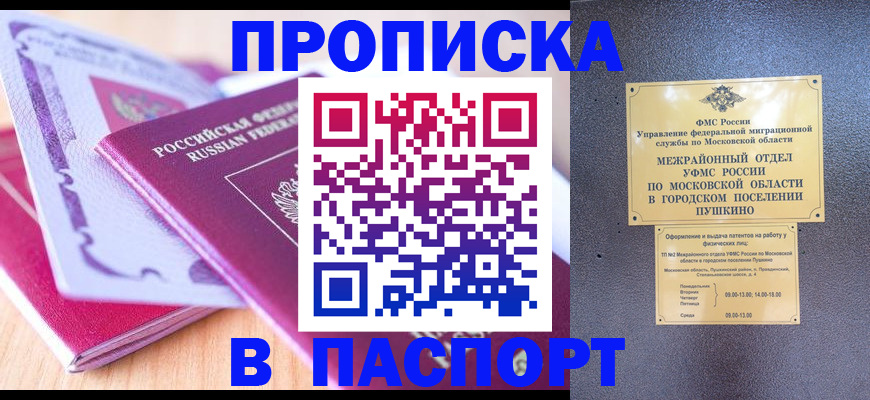 прописка законно в Курске